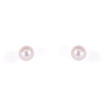 Fresh Water Pearl Studs